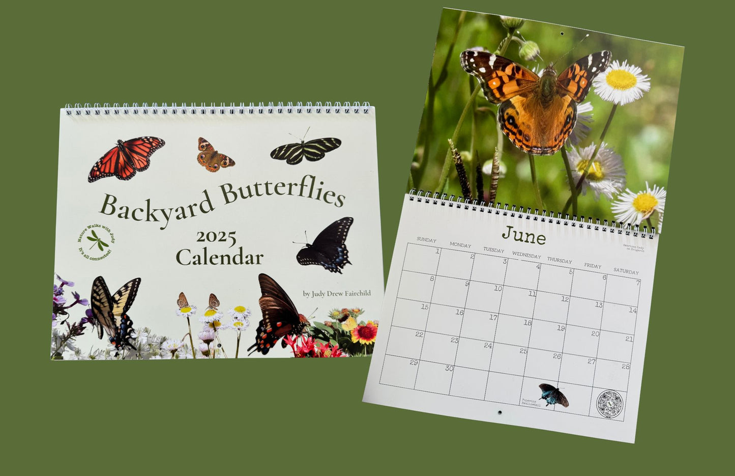 Lowcountry Butterflies 2025 Calendar