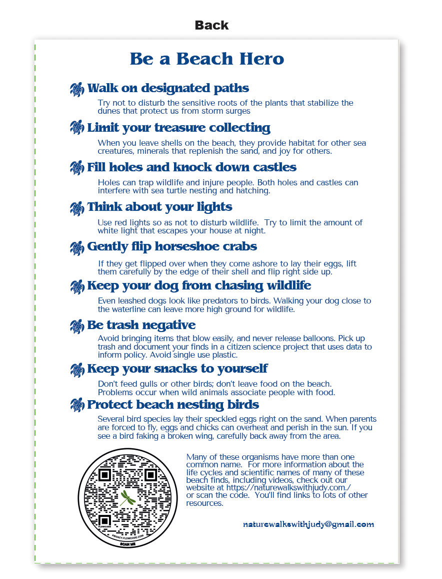 Beachcombing Pocket Guide *** FREE SHIPPING!