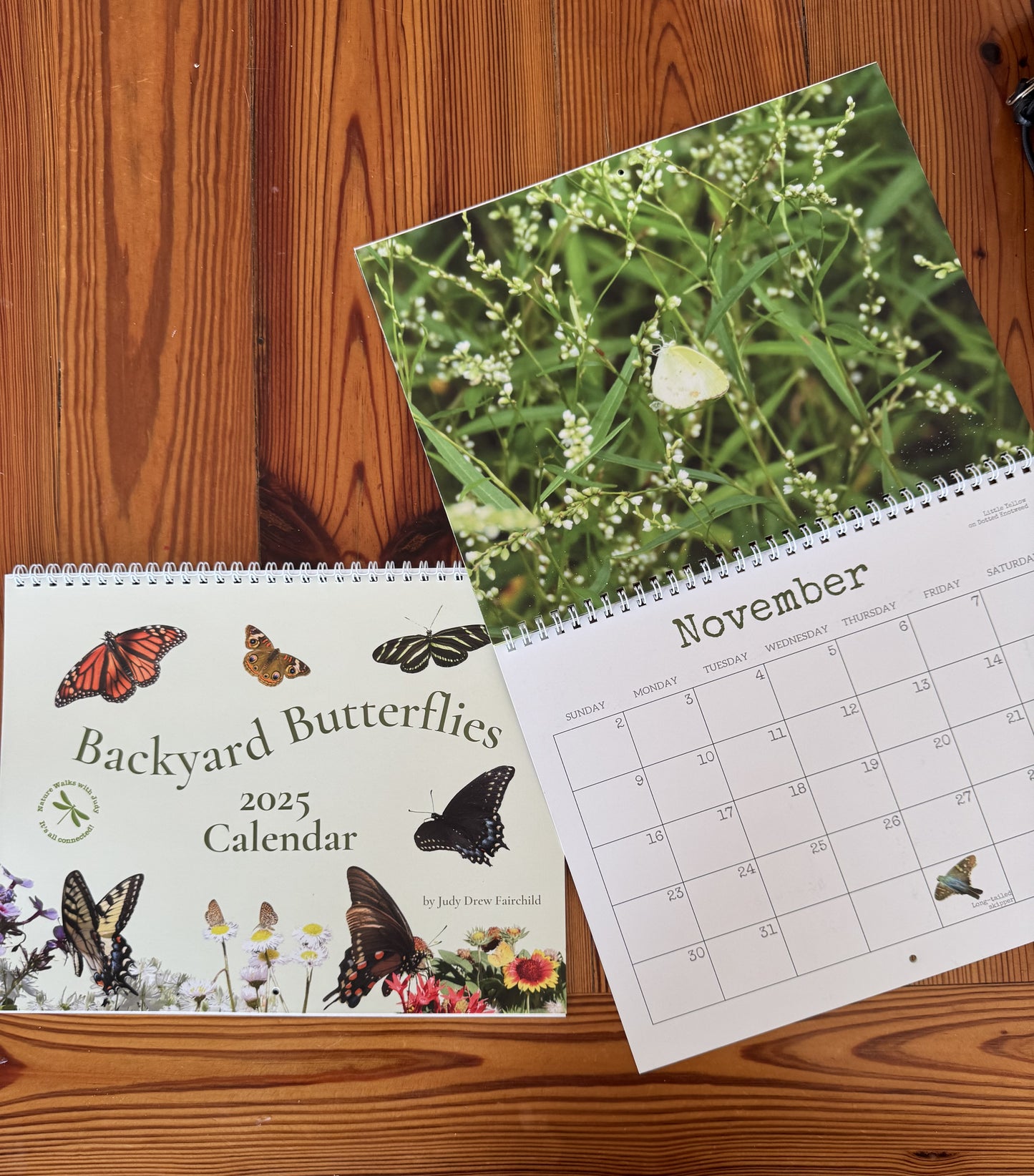 Lowcountry Butterflies 2025 Calendar