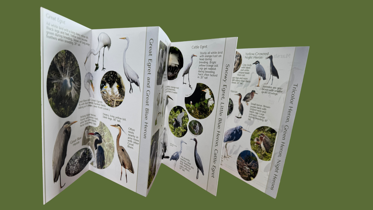 Bird Pocket Guide to Wading, Rookery and Marsh Birds *** FREE SHIPPING!