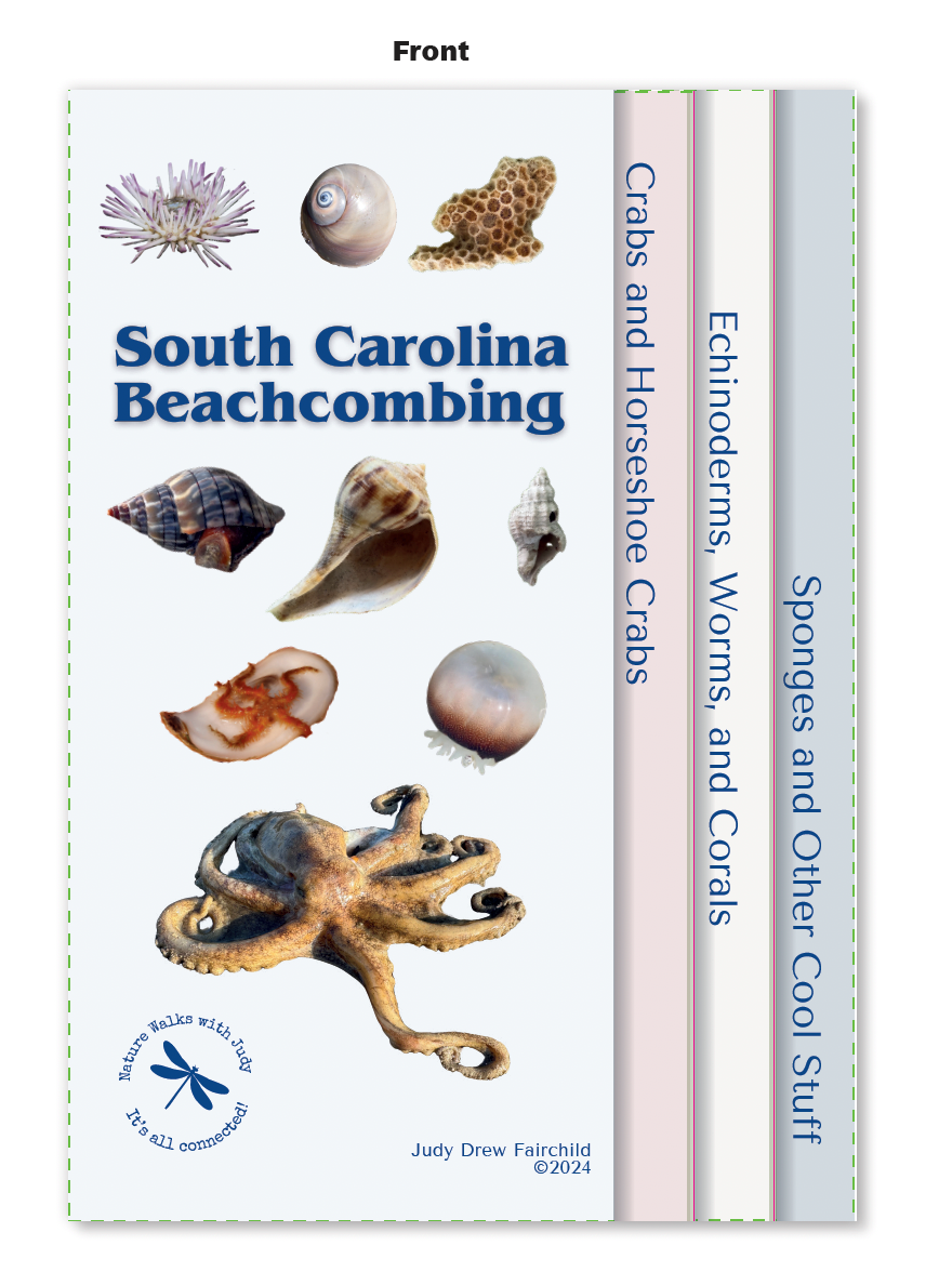 Beachcombing Pocket Guide *** FREE SHIPPING!