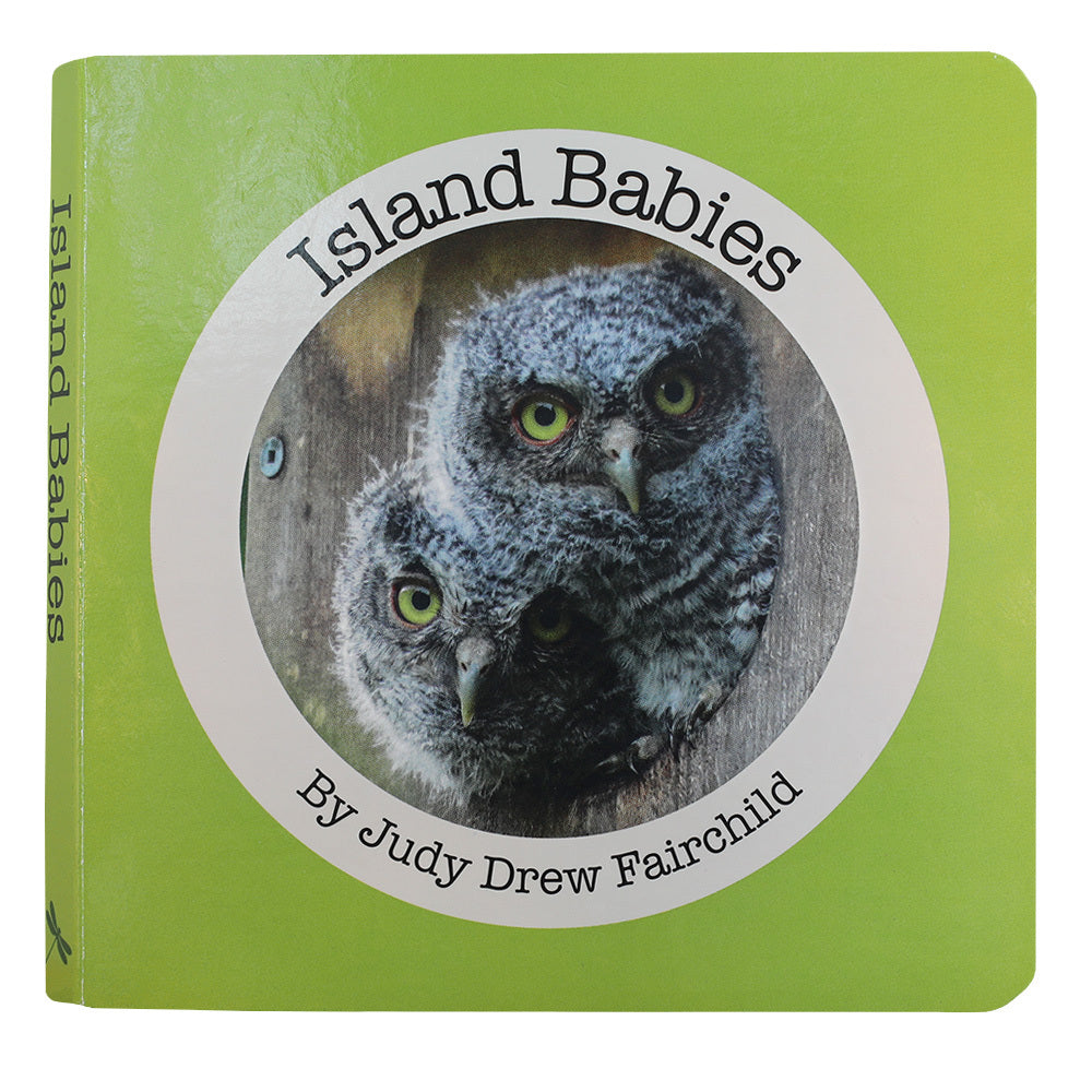 Board Book - Island Babies by Judy Drew Fairchild