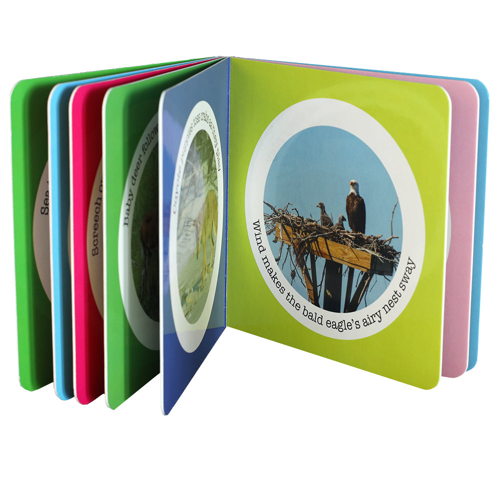 Board Book - Island Babies by Judy Drew Fairchild