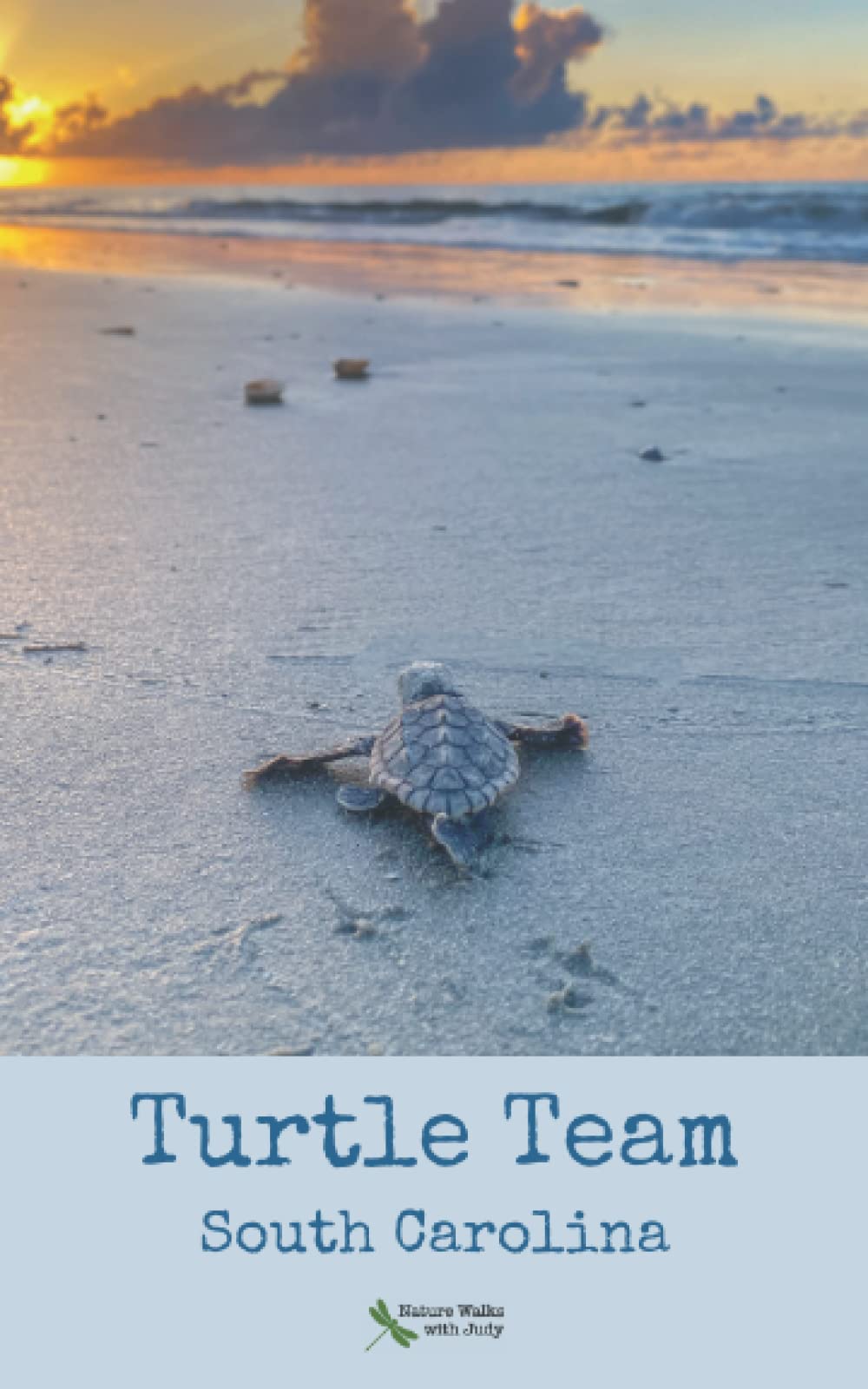 Turtle Team: South Carolina Handbook