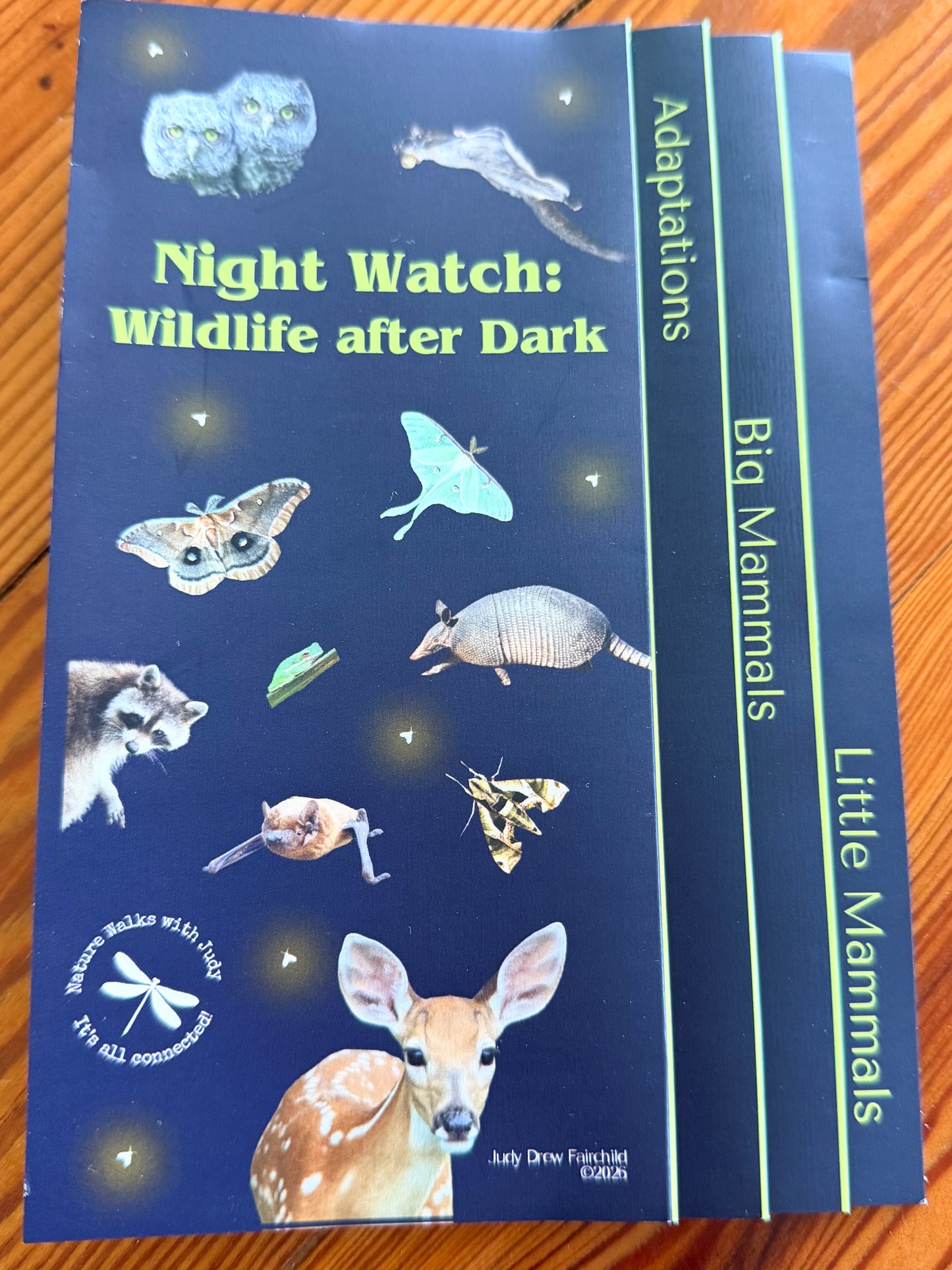 Night Watch - Wildlife after Dark
