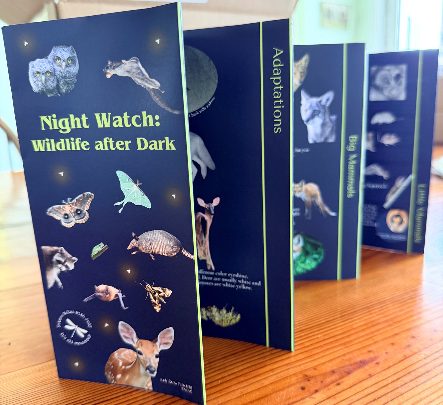 Night Watch - Wildlife after Dark