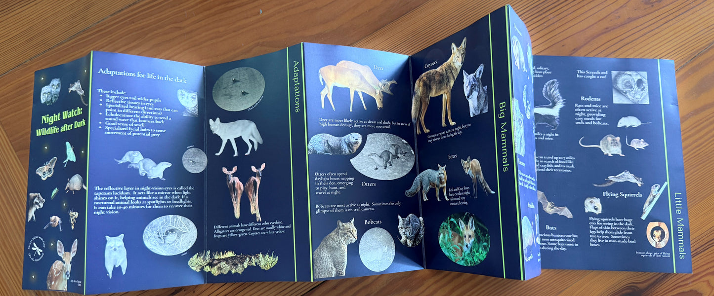 Night Watch - Wildlife after Dark