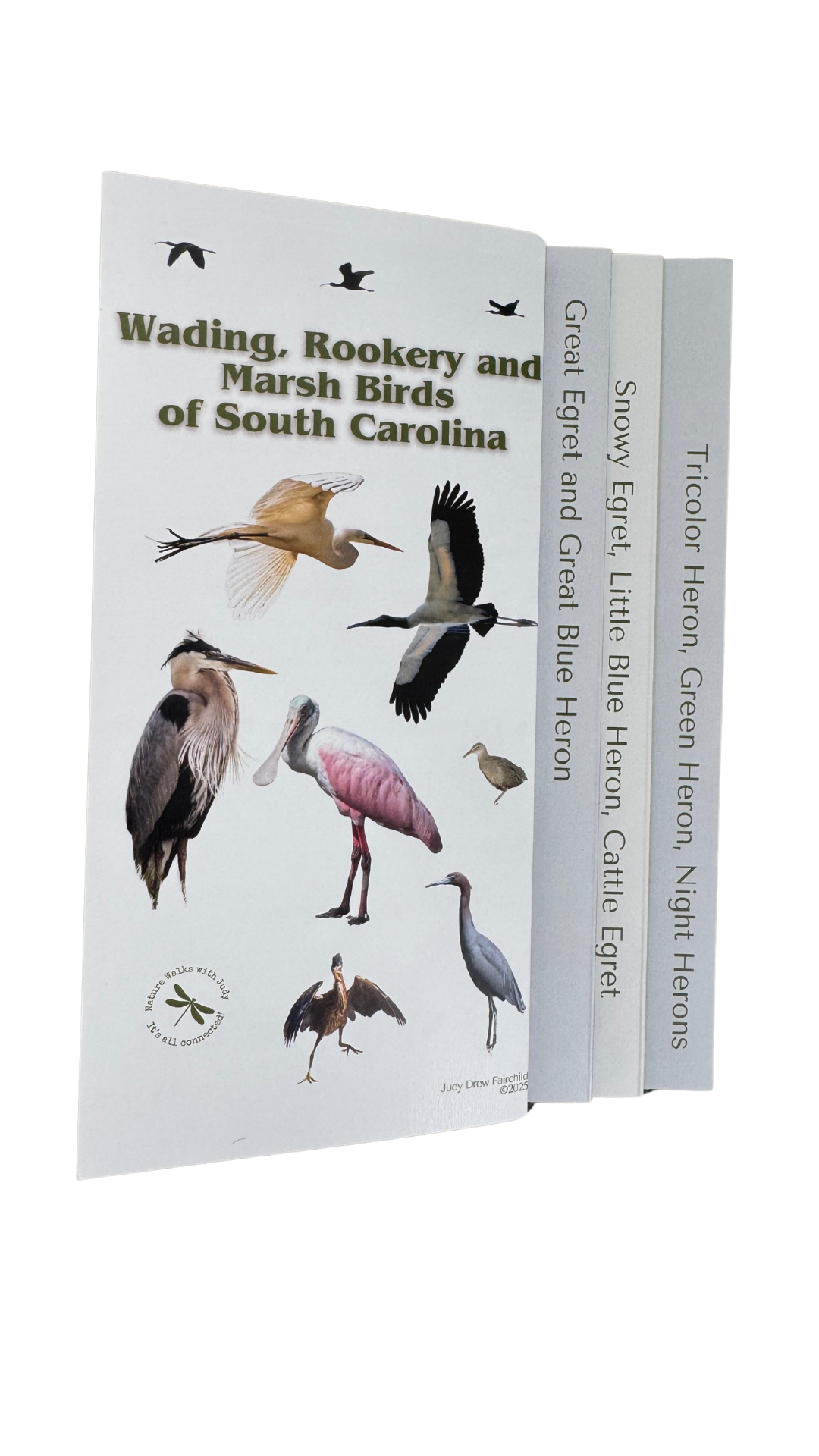 Bird Pocket Guide to Wading, Rookery and Marsh Birds        *** FREE SHIPPING!