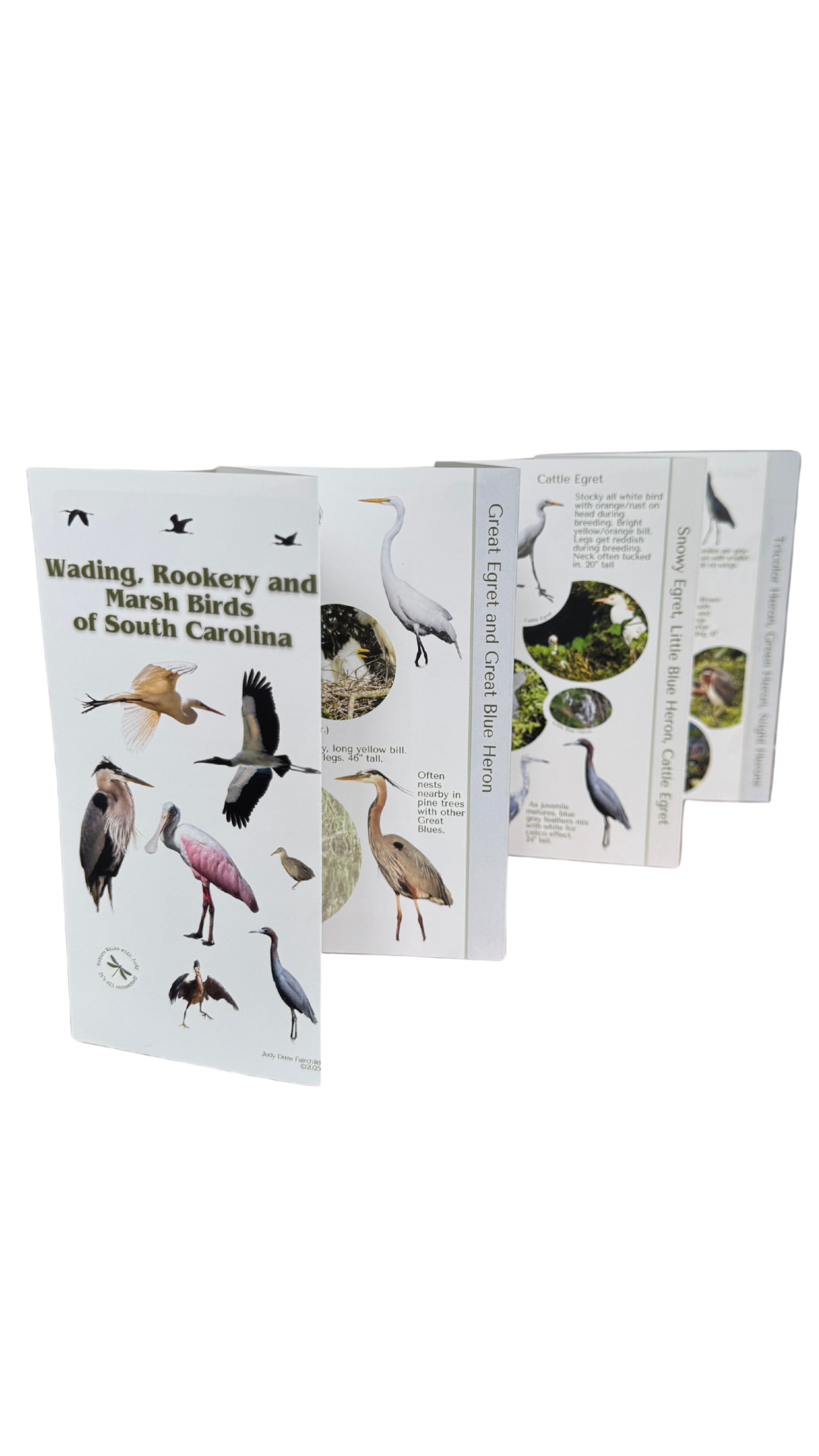 Bird Pocket Guide to Wading, Rookery and Marsh Birds        *** FREE SHIPPING!