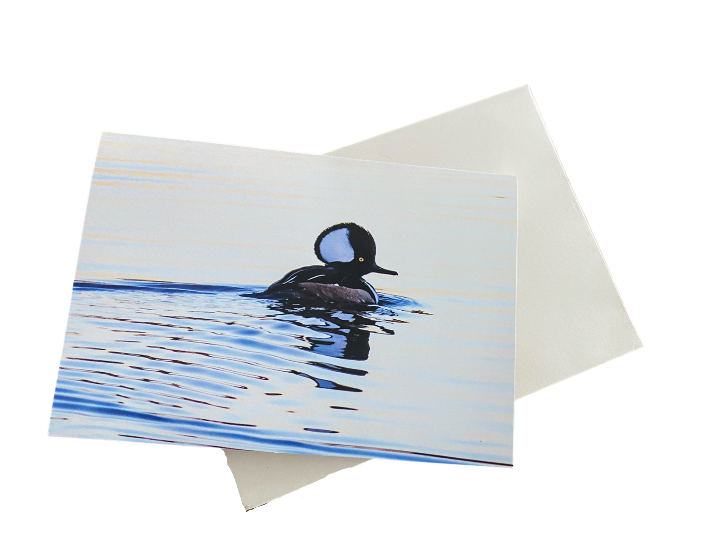 Note Cards - 10 Hooded Merganser Notecards with Envelopes Included, 3.5 x 5 Inches